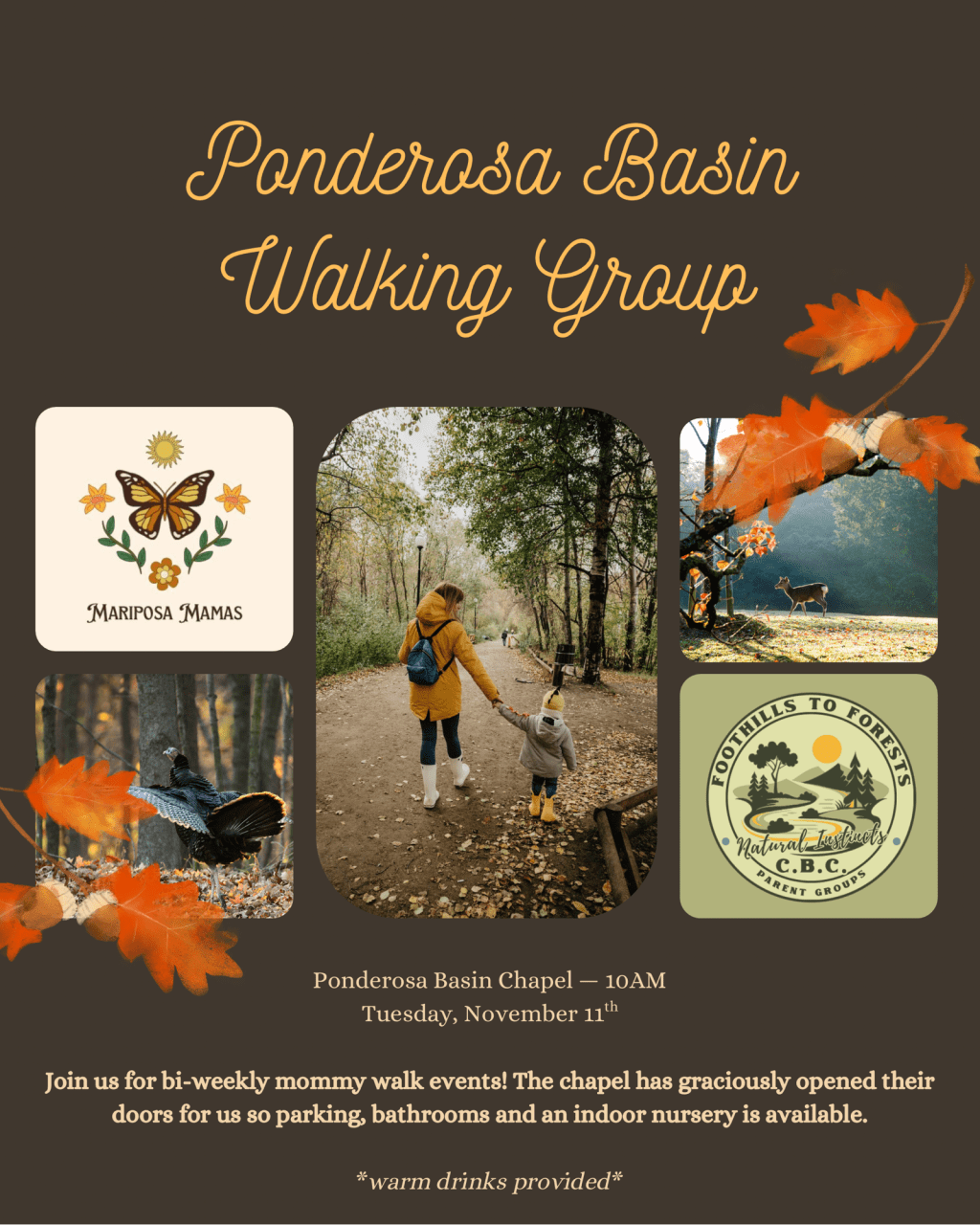Mariposa Mamas Walking Group (Ponderosa Basin)